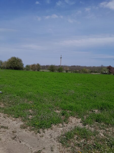 Buftea, strada Liceului langa Sos. de Centura